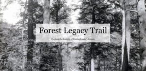 forest legacy trail history
