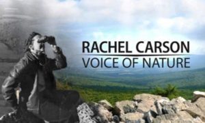 Rachel carson and PA conservation