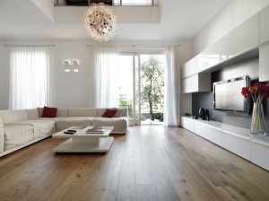 modern looking living room